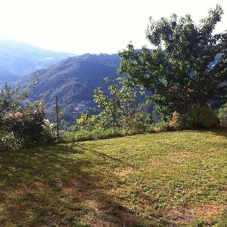 Ospitaci Appartamenti Di Campagna Le Rancole Valtopina Exteriör bild